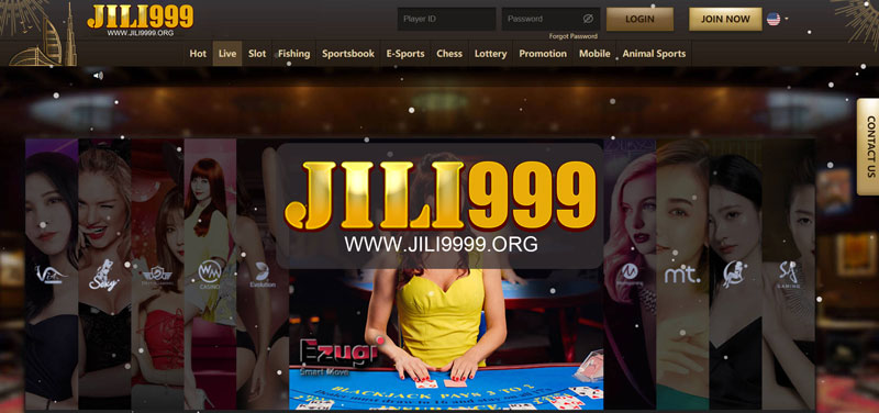 Live Dealer Games A New Level of Casino Entertainment